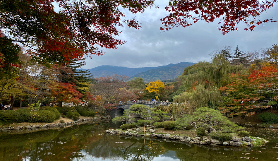 Autumn Leaves Lend a Colorful Punch to Asia Itineraries