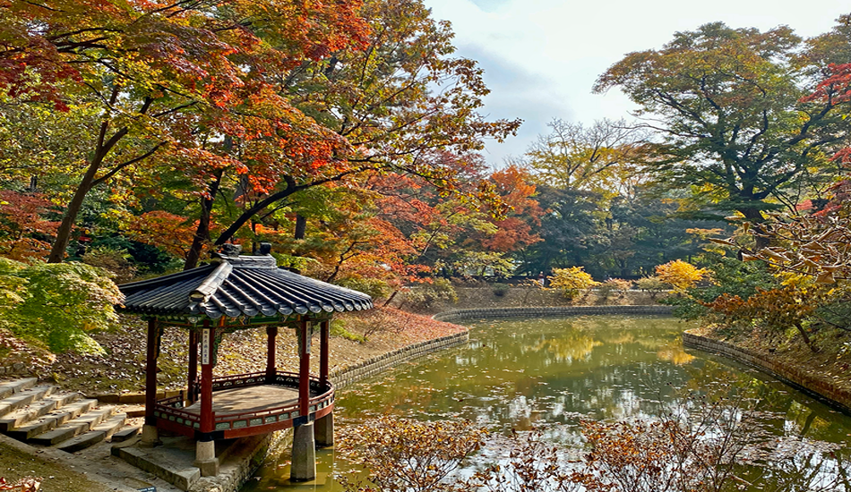 Changdeokgung Palace in Fall - InsideAsia Tours