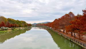 Gwangju in Fall - InsideAsia Tours