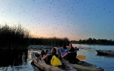 Group Itinerary for Akron Summit, Ohio