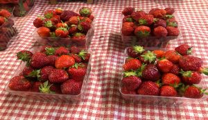 Ed Dunneback & Girls Farm Market, Grand Rapids. (Randy Mink Photo)