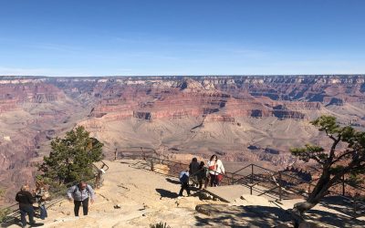 Arizona’s Grand Canyon National Park a Must-See