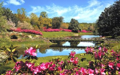 Bellingrath Gardens for Groups