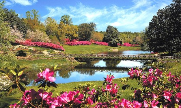 Bellingrath Gardens for Groups