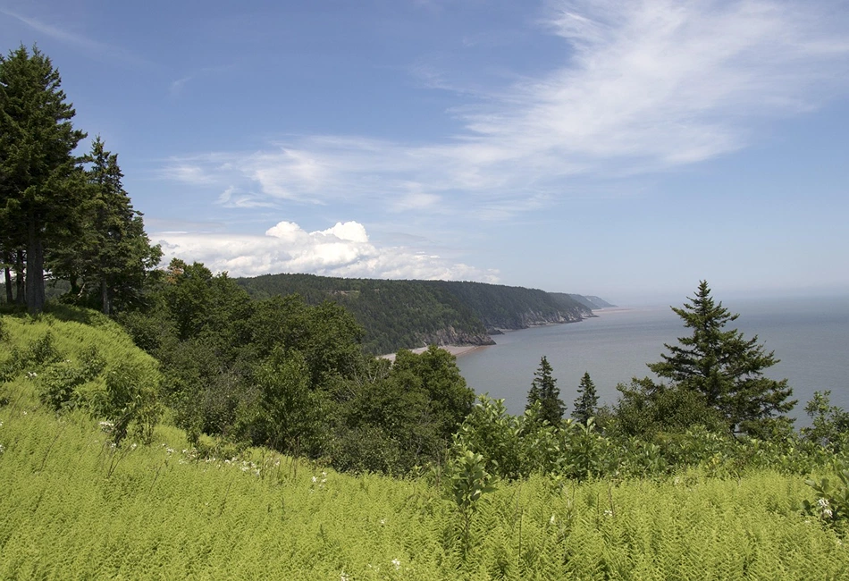 Fundy National Park