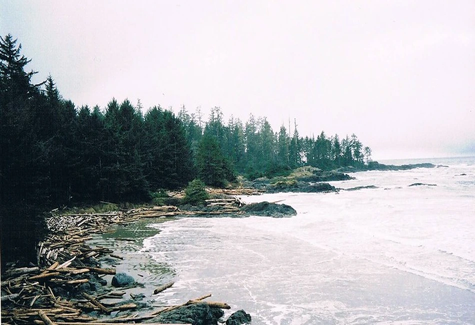 Pacific Rim National Park photo by Alice Wondering