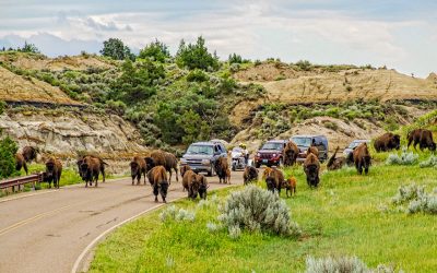 Little Medora Preserves North Dakota’s Western Spirit