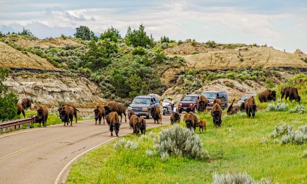 Little Medora Preserves North Dakota’s Western Spirit