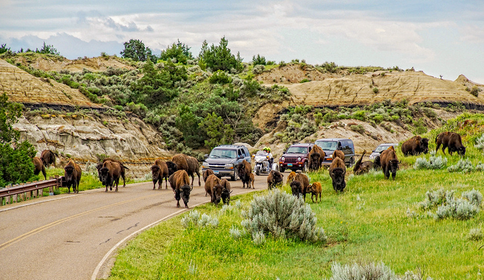 Little Medora Preserves North Dakota’s Western Spirit