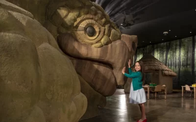 TAP Into the West for Dream Destinations