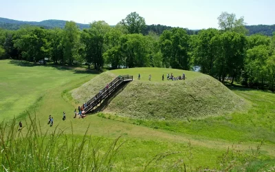 TAP Into the South for Dream Destinations