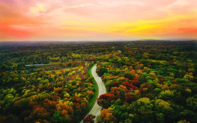 Leisure Group Travel April Edition