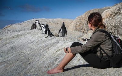 Traveling with PCOS: Tips for Wellness on the Go