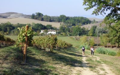 A Transformational Adventure