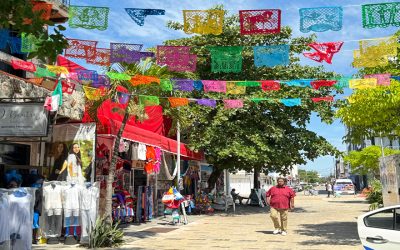 Living the Life of Leisure in Palmy, Balmy Playa del Carmen