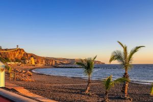 coconut trees, sand, and the sea with the rugged hill in the background in Tenerife during sunset.