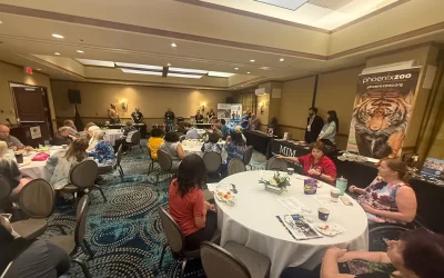 3rd Annual Accent West in Mesa Was a Huge Success