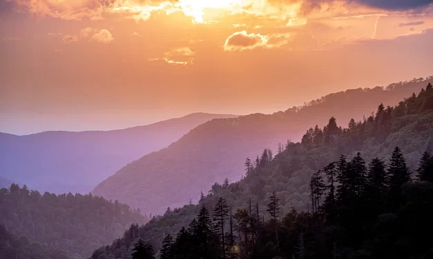 Group Attractions in Pigeon Forge