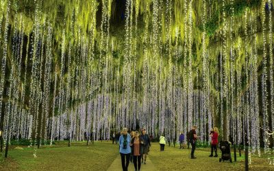 Holiday Magic and Year-Round Charm await in Myrtle Beach