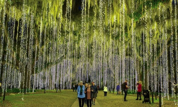 Holiday Magic and Year-Round Charm await in Myrtle Beach