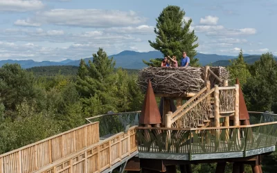 Journey Through New York State’s Nature, Science and Story