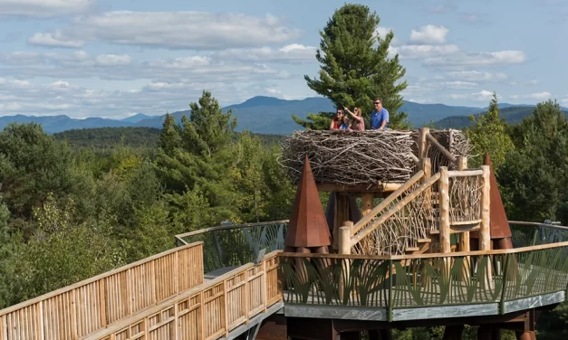 Journey Through New York State’s Nature, Science and Story