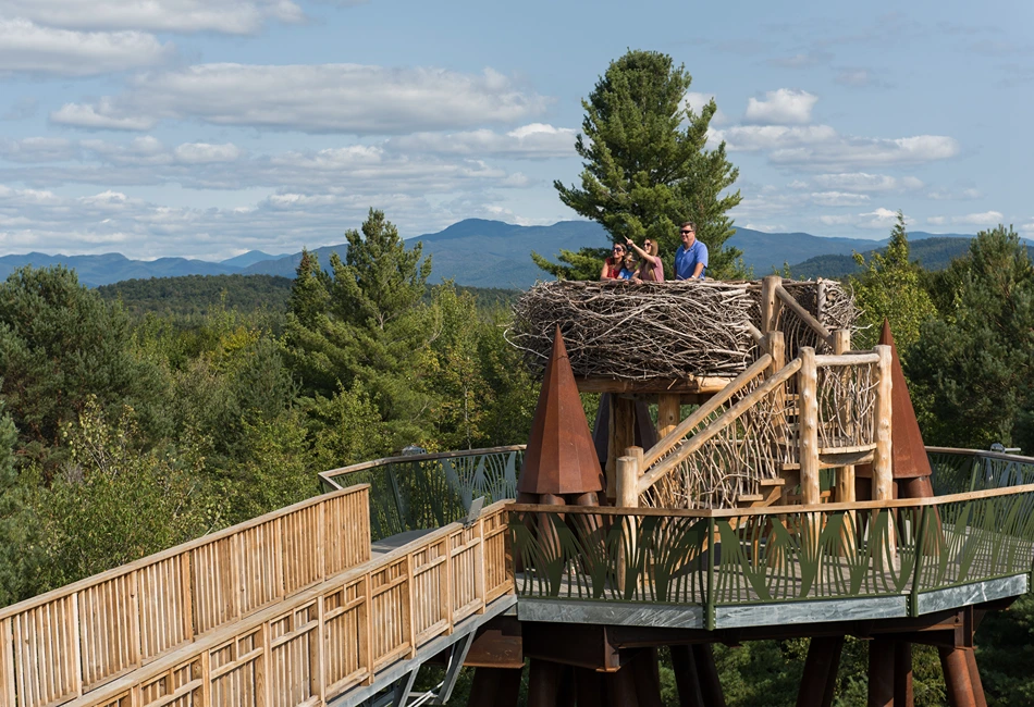Journey Through New York State’s Nature, Science and Story