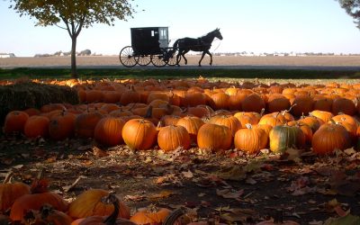 Champaign-Urbana Itinerary: Illinois Parks and Dining Experiences