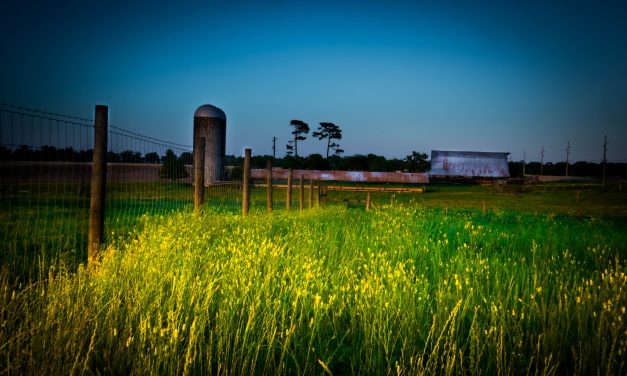 Women’s Voices Shape Alabama’s Creative Spirit