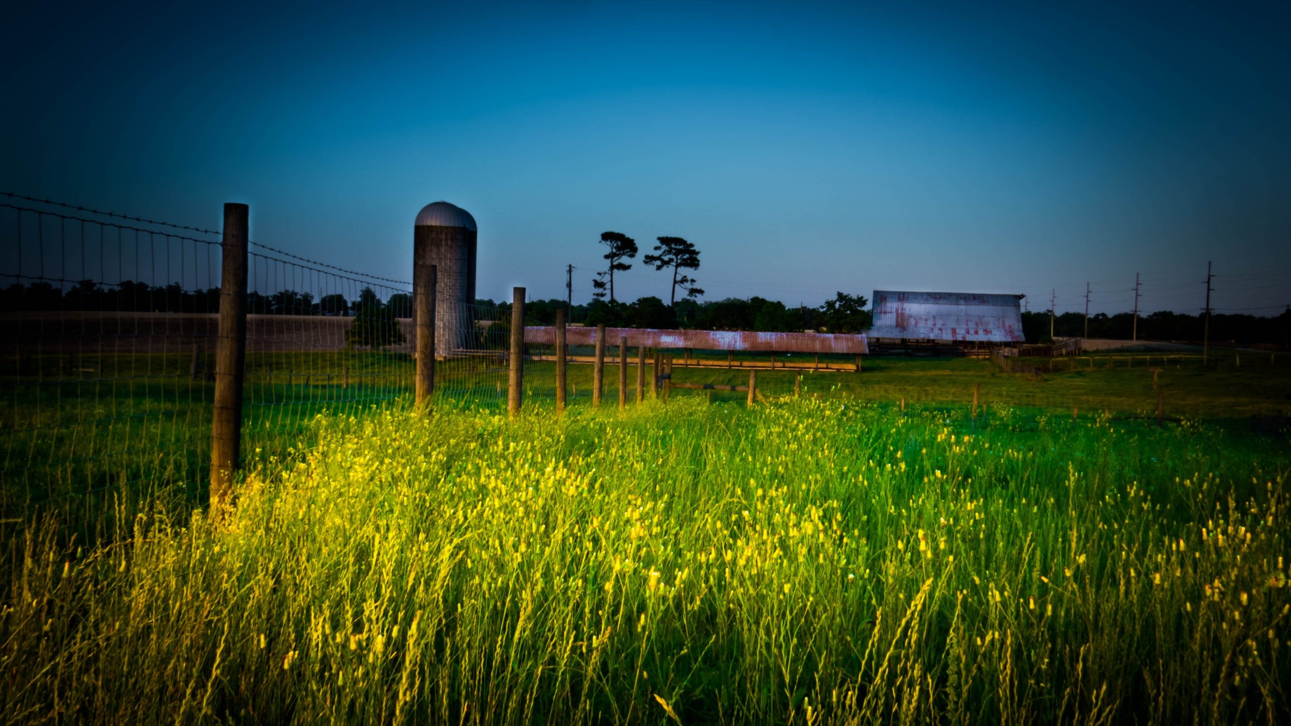 Alabama