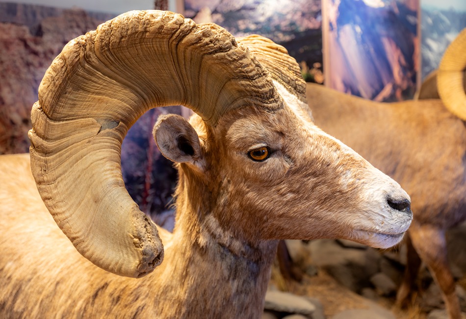 Go Beyond Yellowstone to Wyoming’s Wind River Country