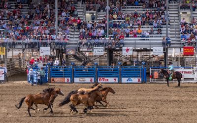 Cody Yellowstone, Wyoming Group Itinerary