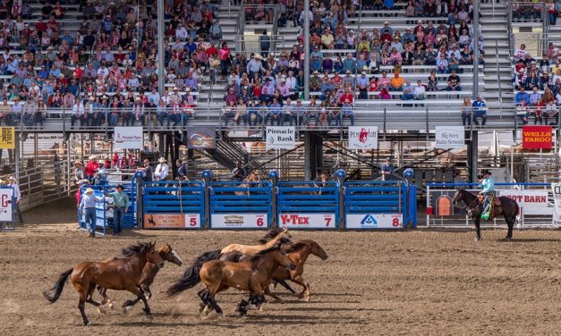 Cody Yellowstone, Wyoming Group Itinerary