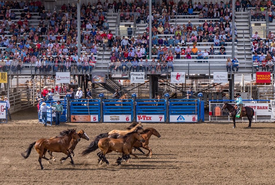 Cody Yellowstone, Wyoming Group Itinerary