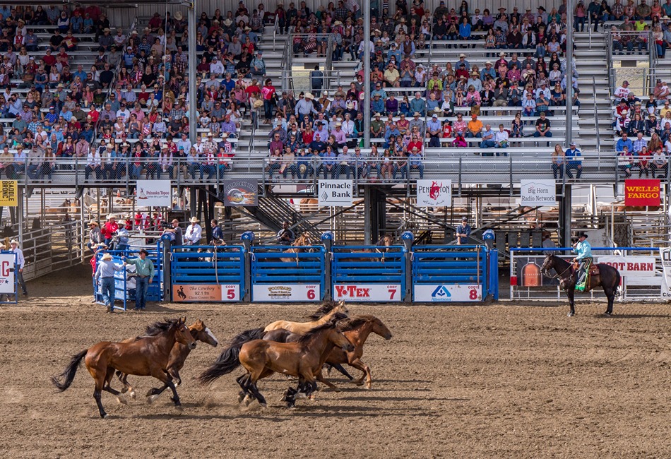 Cody Yellowstone, Wyoming Group Itinerary