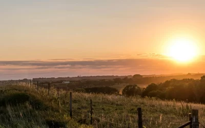 Attraction Profile Example