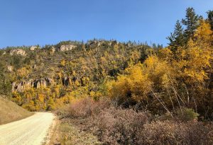 Spearfish Canyon