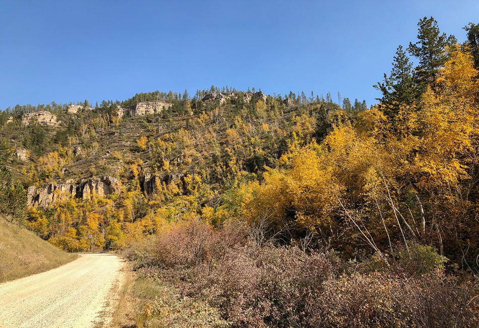 Spearfish Canyon. Photo by Black Hills National ForestUSDA Forest Service Spearfish Canyon