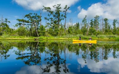 15 Must-Do North Carolina Experiences, Region by Region