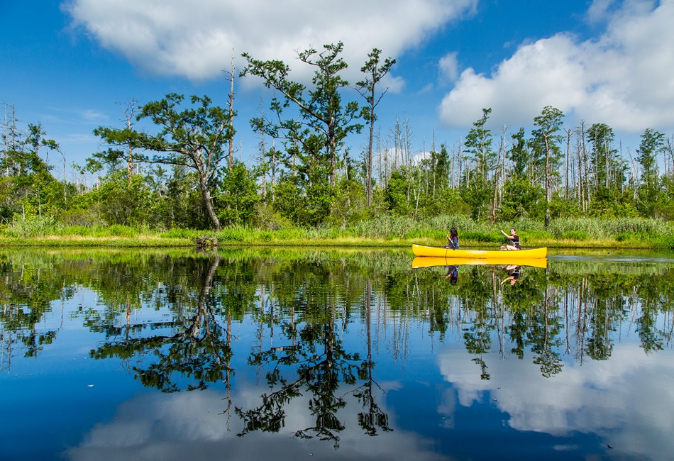 Two People Canoeing at Alligator River National Wildlife Refuge in East Lake Alligator river national wildlife