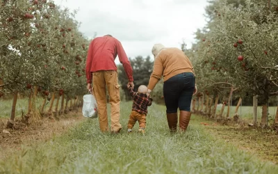 Experience Cayuga County: A Journey Through Freedom, Flavor, and Finger Lakes Beauty