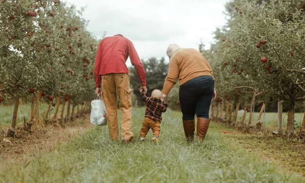 Experience Cayuga County: A Journey Through Freedom, Flavor, and Finger Lakes Beauty