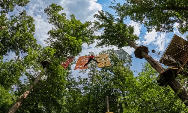 A Stylish Escape to Greensboro’s Heartland Charm