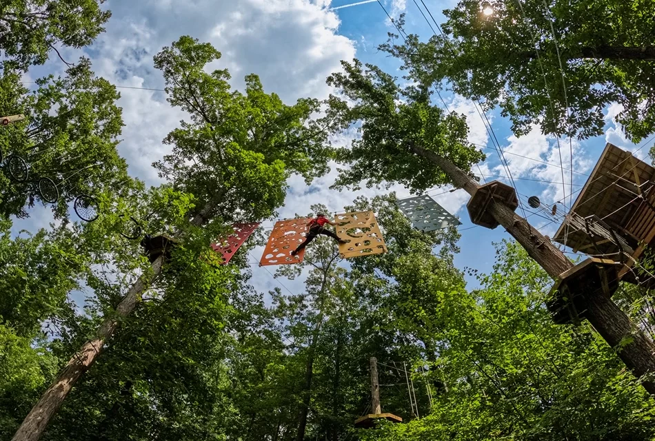 A Stylish Escape to Greensboro’s Heartland Charm