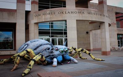 Explore Route 66 in Oklahoma