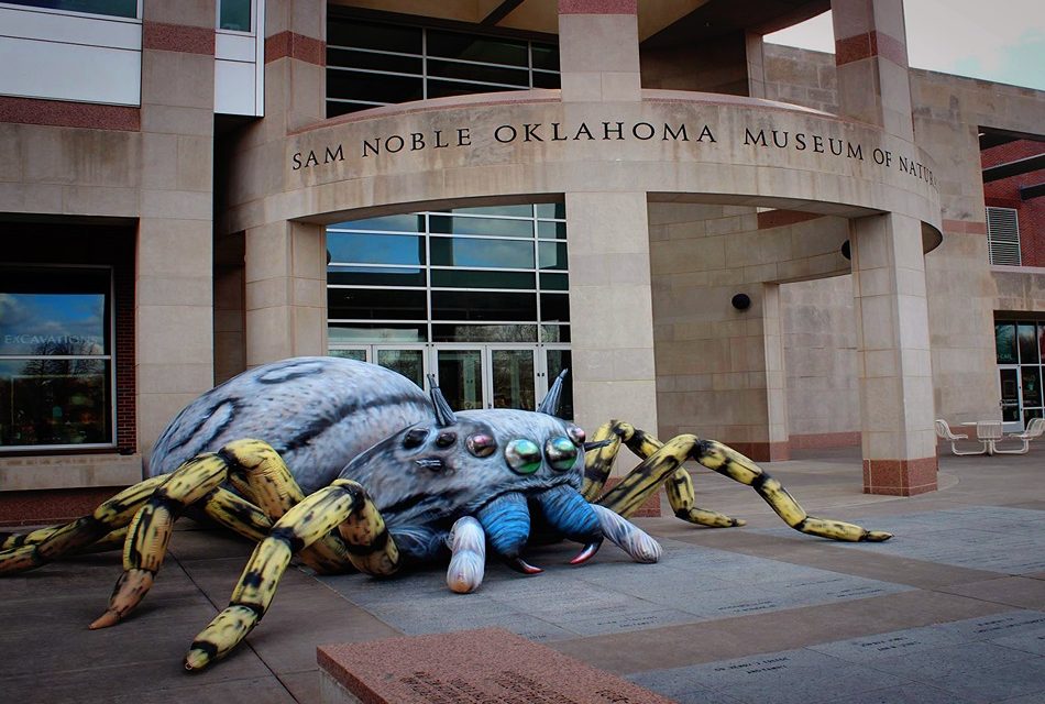 Explore Route 66 in Oklahoma