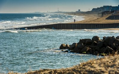 America. Made in Virginia