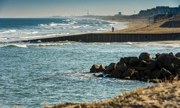 America. Made in Virginia