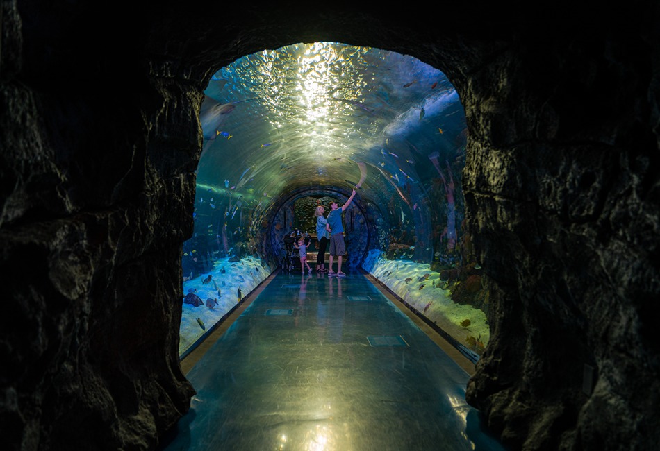 Explore Branson’s Bright Lights & Ozark Adventures