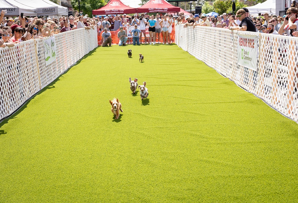 Kites & Rainbows Run